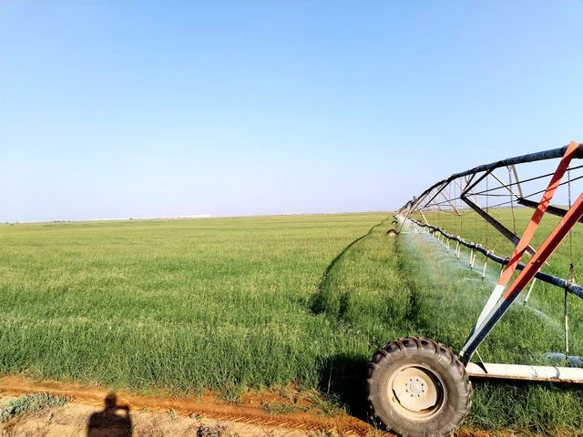 طائرة درون لسقي الاراضي الزراعيه والحقول الخضراء, زيادة انتاج وجودة المحاصيل الزراعيه, آلات واجهزه متطوره، أساليب الري المتقدمة في المملكة العربية السعودية، تطور التقنيه والتكنولوجيا الحديثه في الري وسقي المزروعات