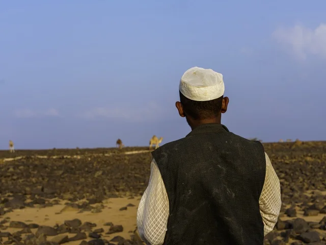 تربية الإبل والجمال فى جدة ، فعاليات وأنشطة ترفيهيه في المملكة العربية السعودية ،الطبيعة الصحراوية ، الجمال في محمية برية ، قطيع من الجمال بالصحراء في وضع النهار تربية الإبل والجمال فى جدة ، فعاليات وأنشطة ترفيهيه في المملكة العربية السعودية ،الطبيعة الصحراوية ، الجمال في محمية برية ، قطيع من الجمال بالصحراء في وضع النهار