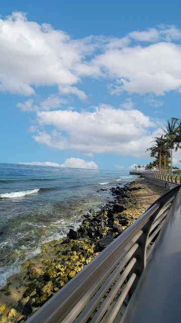 الحدائق والمنتزهات في كورنيش جدة بالمملكة العربية السعودية، الاشجار والنباتات الخضراء، معالم مشهورة سياحية ، المناظر الطبيعية ، السياحة في السعودية