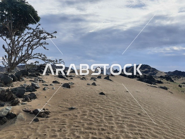 The areas of the desert and the desert environment, the landscapes in the Jeddah desert in the Kingdom of Saudi Arabia, the hills and soft sand dunes, tourist places and landmarks.