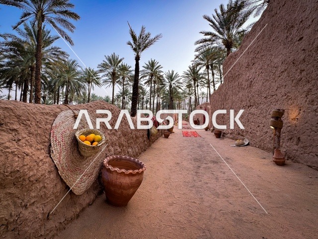 ثمار الحمضيات الطبيعية الناضجة ذات الفوائد العالية، المزارع والواحات الخصبة في البلدة القديمة بالعلا، منتجات وطنية محلية، المناظر الطبيعية المتميزة في المملكة العربية السعودية، محمية طبيعية لزراعة الاشجار