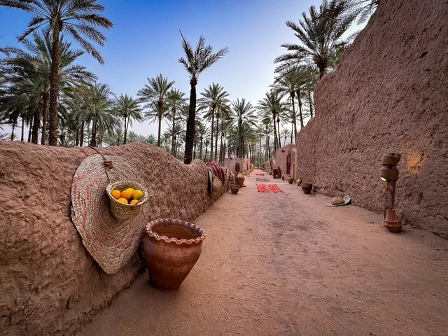 ثمار الحمضيات الطبيعية الناضجة ذات الفوائد العالية، المزارع والواحات الخصبة في البلدة القديمة بالعلا، منتجات وطنية محلية، المناظر الطبيعية المتميزة في المملكة العربية السعودية، محمية طبيعية لزراعة الاشجار