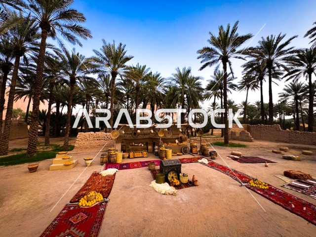 ثمار الحمضيات الطبيعية الناضجة ذات الفوائد العالية، المزارع والواحات الخصبة في البلدة القديمة بالعلا، منتجات وطنية محلية، المناظر الطبيعية المتميزة في المملكة العربية السعودية، محمية طبيعية لزراعة الاشجار
