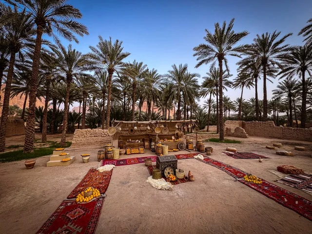 ثمار الحمضيات الطبيعية الناضجة ذات الفوائد العالية، المزارع والواحات الخصبة في البلدة القديمة بالعلا، منتجات وطنية محلية، المناظر الطبيعية المتميزة في المملكة العربية السعودية، محمية طبيعية لزراعة الاشجار