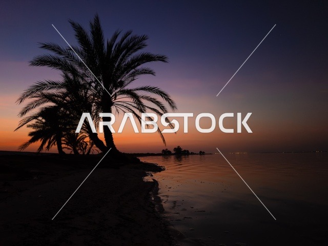 شاطئ العقير بالاحساء في وقت غروب الشمس، الاستمتاع بالاجواء الصيفية، الرحلات الى المناطق الساحلية، الاهتمام بزراعة اشجار النخيل في الأماكن السياحية، السواحل الشاطئية والواجهة البحرية في المملكة العربية السعودية