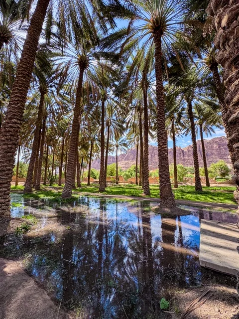 المناظر الطبيعية المتميزة في المملكة العربية السعودية، محمية طبيعية لزراعة الاشجار، المزارع والواحات الخصبة في البلدة القديمة بالعلا، منتجات وطنية محلية