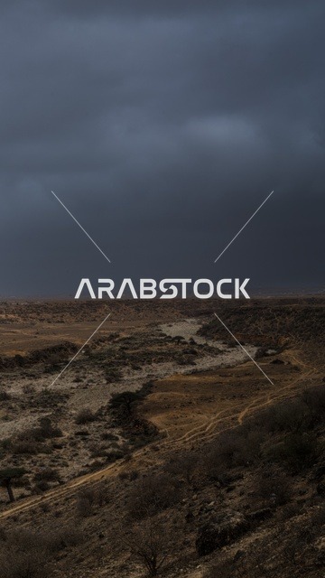 وادي ومجرى سيق في مدينة صلالة، سلطنة عُمان، معلم طبيعي يتميز بتشكّل الصخور ومجاري المياه الموسمية، طبيعة خضراء خلال موسم الخريف، وجهة سياحية تعكس جمال التضاريس الطبيعية في محافظة ظفار.