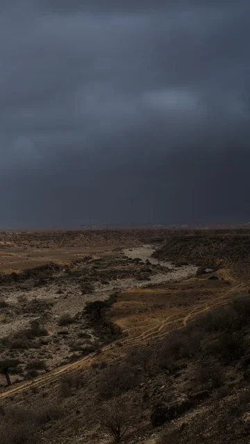 وادي ومجرى سيق في مدينة صلالة، سلطنة عُمان، معلم طبيعي يتميز بتشكّل الصخور ومجاري المياه الموسمية، طبيعة خضراء خلال موسم الخريف، وجهة سياحية تعكس جمال التضاريس الطبيعية في محافظة ظفار.