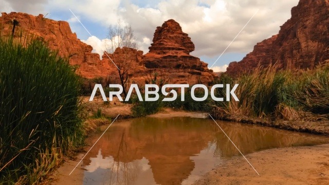 طريق ترابي مبلل يخترق الطبيعة في وادي الديسة في منطقة تبوك، أرض النخيل والعيون الساحرة، التكوينات والتشكيلات الصخرية على الوديان الجبلية في الأماكن الأثرية التاريخية المشهورة، سلاسل جبلية ومعالم طبيعية في السعودية، المناطق السياحية في المملكة