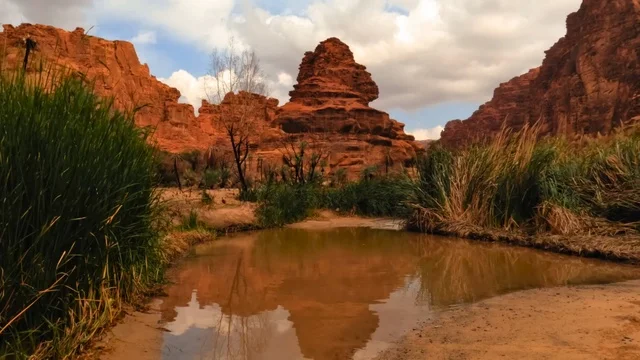 طريق ترابي مبلل يخترق الطبيعة في وادي الديسة في منطقة تبوك، أرض النخيل والعيون الساحرة، التكوينات والتشكيلات الصخرية على الوديان الجبلية في الأماكن الأثرية التاريخية المشهورة، سلاسل جبلية ومعالم طبيعية في السعودية، المناطق السياحية في المملكة