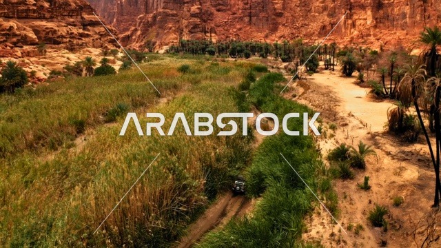 ممر بري مبلل وسط واحة من الأعشاب البرية  في وادي الديسة في منطقة تبوك، أرض النخيل والعيون الساحرة، التكوينات والتشكيلات الصخرية على الوديان الجبلية في الأماكن الأثرية التاريخية المشهورة، سلاسل جبلية ومعالم طبيعية في السعودية، المناطق السياحية في المملكة