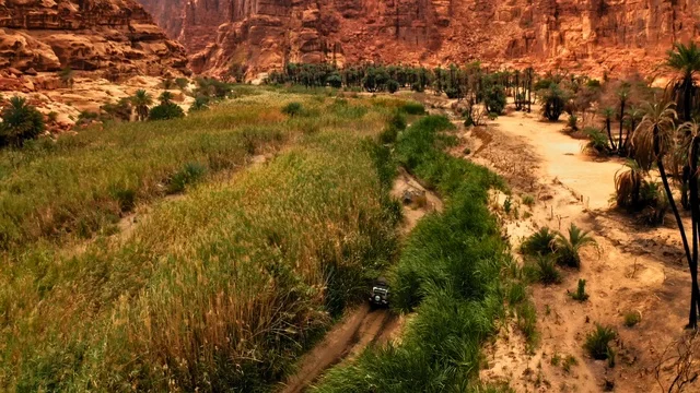 ممر بري مبلل وسط واحة من الأعشاب البرية  في وادي الديسة في منطقة تبوك، أرض النخيل والعيون الساحرة، التكوينات والتشكيلات الصخرية على الوديان الجبلية في الأماكن الأثرية التاريخية المشهورة، سلاسل جبلية ومعالم طبيعية في السعودية، المناطق السياحية في المملكة