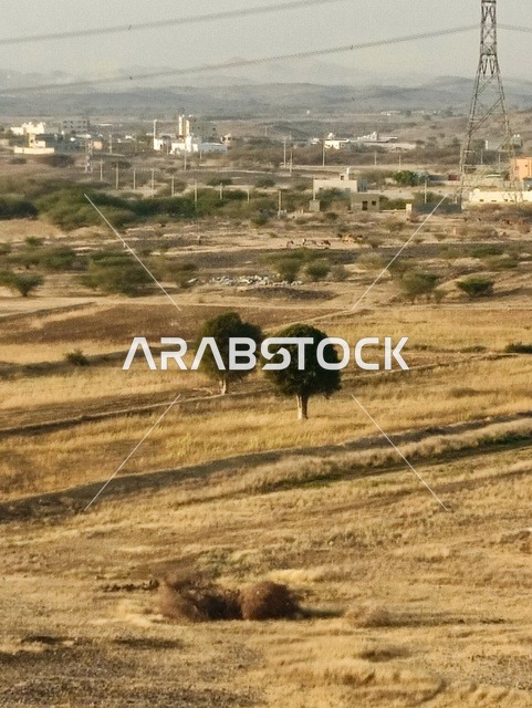 شجرتين نخيل في أرياف محافظة العيدابي،  الطبيعة الجبلية مع المساحات الخضراء الشاسعة ،المنازل الحجرية العتيقة التي تعانق الضباب، الحياة الريفية الهادئة،  التنوع البيئي في منطقة جازان جنوب المملكة العربية السعودية