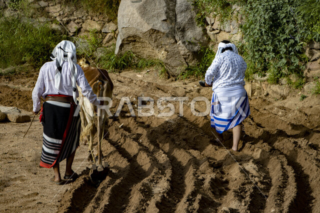 زاوية من الخلف لرجلان خليجيان سعوديان يمشيان ، جبال الحشر في محافظة الداير في منطقة جازان بالمملكة العربية السعودية في وضع النهار ، السياحة في السعودية