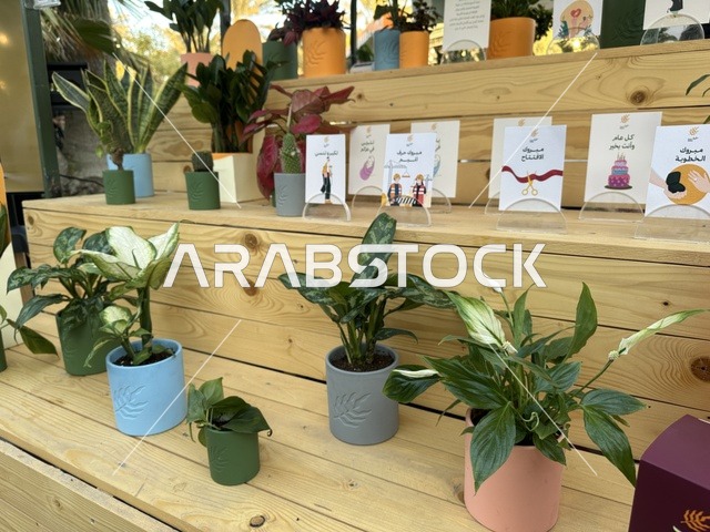 An open community market that supports local projects, Roots Market in Prince Saud Park in Dhahran, Eastern Province, Saudi Arabia, featuring artisanal products and homemade foods, outdoor shopping areas, family events, and recreational activities, with a vibrant heritage and social atmosphere.