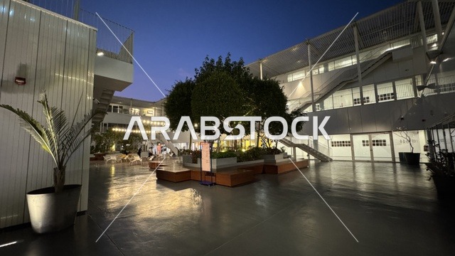 الاشجار والنباتات الخضراء في حي جميل في مدينة جدة، المملكة العربية السعودية، وجهة ثقافية وفنية معاصرة، بيئة حضرية تحتضن الإبداع والفنون الحديثة ، معارض فنية ومساحات إبداعية، فعاليات ثقافية ومجتمعية متنوعة، مقاهي ومناطق تجمع فني