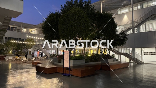 الاشجار والنباتات الخضراء في حي جميل في مدينة جدة، المملكة العربية السعودية، وجهة ثقافية وفنية معاصرة، بيئة حضرية تحتضن الإبداع والفنون الحديثة ، معارض فنية ومساحات إبداعية، فعاليات ثقافية ومجتمعية متنوعة، مقاهي ومناطق تجمع فني