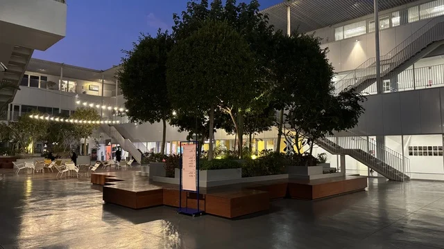 الاشجار والنباتات الخضراء في حي جميل في مدينة جدة، المملكة العربية السعودية، وجهة ثقافية وفنية معاصرة، بيئة حضرية تحتضن الإبداع والفنون الحديثة ، معارض فنية ومساحات إبداعية، فعاليات ثقافية ومجتمعية متنوعة، مقاهي ومناطق تجمع فني