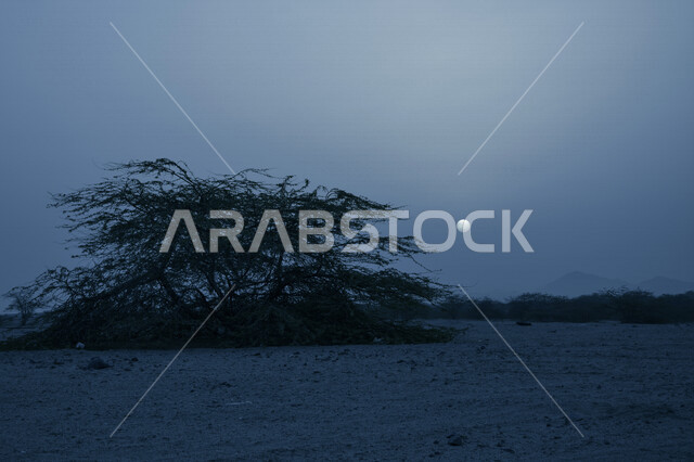 صورة جمالية لصحراء جدة بالمملكة العربية السعودية في وضع الليل ، جمال الطبيعة الصحراوية بالسعودية