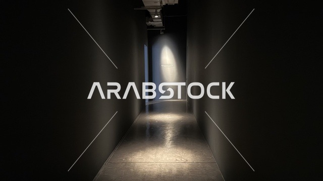 A dimly lit corridor in the animation exhibition in Jeddah, Saudi Arabia, an artistic and entertainment event dedicated to the world of animation, showcasing characters and cartoon works, interactive experiences and visual displays, educational and recreational activities for children and families, an atmosphere that combines art and technology.