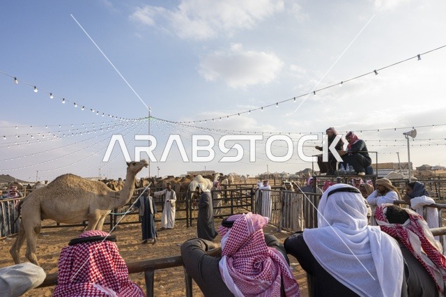ايماءات الحماس و مشاركة واسعة من ملاك الإبل، مهرجان الملك عبدالعزيز لمزاين الإبل، المملكة العربية السعودية، فعالية تراثية وطنية كبرى، مسابقات وجمال الإبل، عروض ومزادات، أنشطة ثقافية وتراثية، أجواء احتفالية تعكس أصالة الموروث السعودي