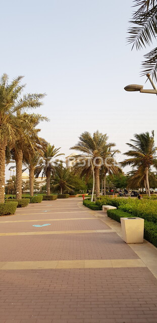 صورة جمالية للطبيعة الخلابة على كورنيش جدة الواجهة البحرية في مدينة جدة ، المعالم السياحية في المدينة الساحلية ، المملكة العربية السعودية