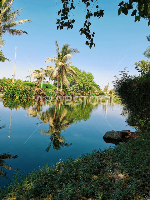 صورة جمالية لإنعكاس الأشجار و الطبيعة الخضراء على سطح البحيرة ، روعة و جمال الطبيعة ، أماكن و معالم سياحية طبيعية خلابة