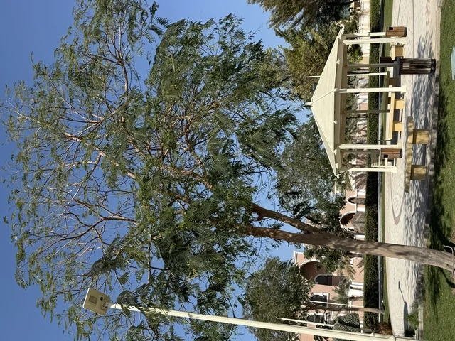 Family gathering in Al Saada Park, United Arab Emirates, comfortable outdoor seating, open green spaces, calm social atmosphere suitable for families, outdoor entertainment experience.