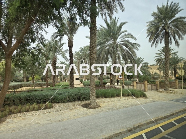 معالم أثرية تاريخية قديمة، أسوار الدرعية القديمة في مدينة الرياض في المملكة العربية السعودية، الفن الهندسي المعماري القديم، المباني الأثرية والبيوت الطينية في حي الطريف في الدرعية، أشجار النخيل الخضراء، مناطق السياحة التراثية في السعودية