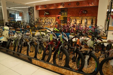 Bicycle Retail Store Display with Mountain Bikes