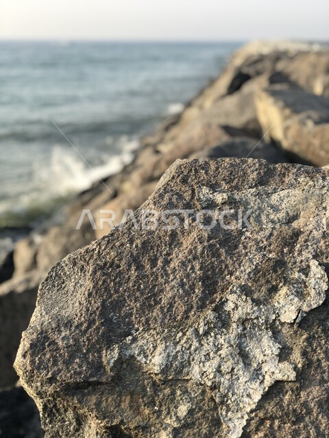 صورة لشاطئ البحر في ولاية بركاء بسلطنة عمان ، صورة مقربة للصخور في بحر بركاء ، أماكن ساحلية سياحية ، شاطئ البحر ، بحر سلطنة عمان ، بحر بركاء