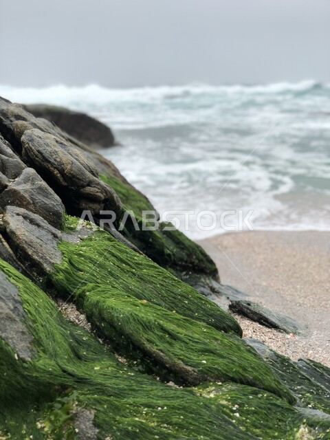 صورة لشاطئ مرباط العام في محافظة ظفار بسلطنة عمان ، أماكن ساحلية سياحية ، شاطئ البحر ، بحر سلطنة عمان ، شاطئ بحر مرباط بسلطنة عمان