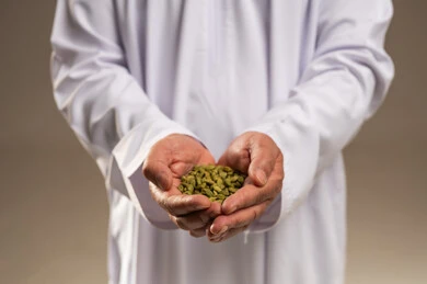 رجل عربي بالثوب الأبيض يحمل حبات الهيل الأخضر