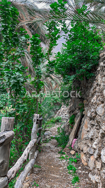 اطلالة جمالية للطبيعة الخلابة في سلطنة عمان ، سحر الطبيعة ، معالم سياحية طبيعية في سلطنة عمان