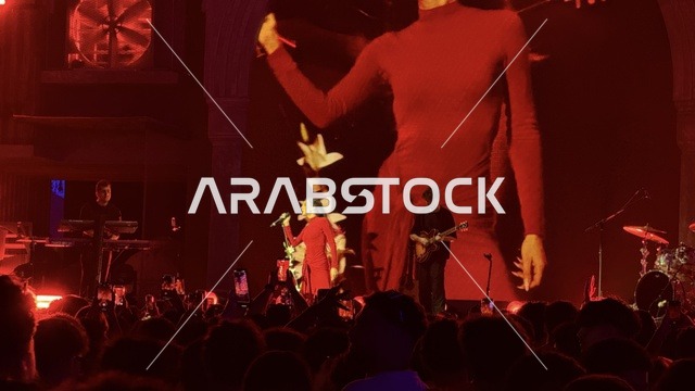 شخصية مضيئة في عرض موسيقي غنائي بفعالية بلد بيست في مدينة جدة التاريخية، المملكة العربية السعودية، مهرجان موسيقي وفني من تنظيم مدل بيست يوم 30 من يناير 2026،  تجربة فنية معاصرة، أجواء احتفالية نابضة بالطاقة، تفاعل جماهيري واسع، الموسيقى والفن في قلب جدة وعلى مقربة من ساحل البحر الأحمر.