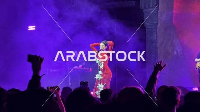 A shining personality in a musical performance at the Balad Beast event in the historic city of Jeddah, Saudi Arabia, a music and arts festival organized by MDL Beast on January 30, 2026. A contemporary artistic experience, vibrant celebratory atmosphere, wide public interaction, music and art at the heart of Jeddah and close to the Red Sea coast.