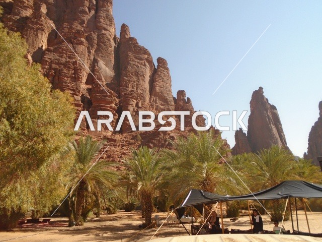 كشتة بر وتخييم في الطبيعة، سلسلة الجبال والتكوينات والتشكلات الصخرية في وادي الديسة في منطقة تبوك، النباتات البرية الخضراء في المناطق الصحراوية، معالم تاريخية قديمة مشهورة في المملكة العربية السعودية، الاهتمام بالزراعة والتشجير في المدن السياحية
