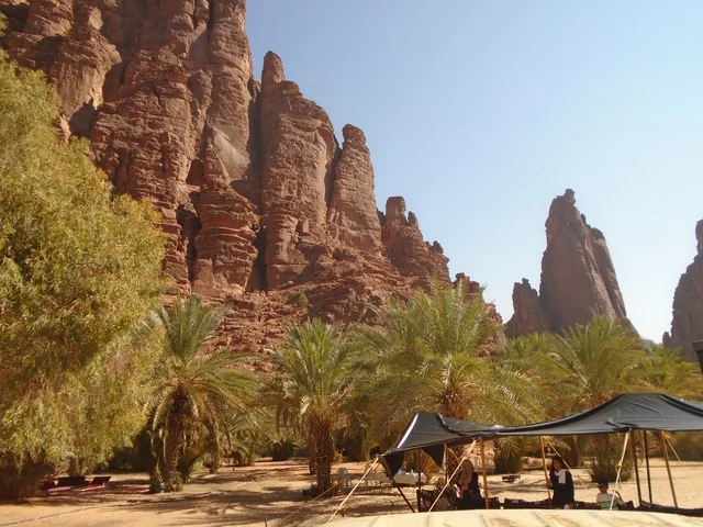 Camping and outdoor activities, the mountain range and rock formations in Wadi Al-Disa in the Tabuk region, green wild plants in desert areas, famous ancient historical landmarks in the Kingdom of Saudi Arabia, and the focus on agriculture and afforestation in tourist cities.