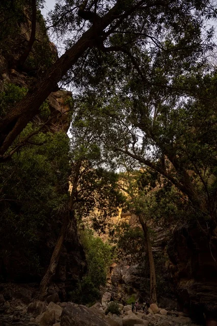 التكوينات الصخرية في وادي لجب بجازان في المملكة العربية السعودية، القمم والمرتفعات الصخرية، الاشجار والنباتات الخضراء، معالم جازان الطبيعية، السياحية في السعودية