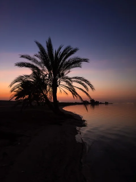 شاطئ العقير بالاحساء في وقت غروب الشمس، الاستمتاع بالاجواء الصيفية، الرحلات الى المناطق الساحلية، الاهتمام بزراعة اشجار النخيل في الأماكن السياحية، السواحل الشاطئية والواجهة البحرية في المملكة العربية السعودية