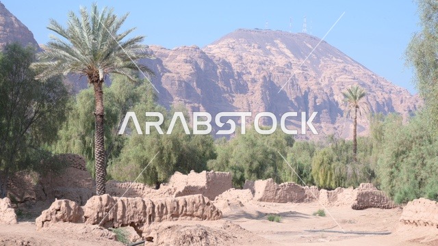 قرية العلا التراثية شمال غرب المملكة العربية السعودية، منظر علوي لمدينة العُلا والجبال المحيطة بها، السياحة في السعودية، المعالم التاريخية والآثرية القديمة في بلدة العلا القديمة، أشجار النخيل بالقرب من المرتفعات الجبلية، واحات السعودية، مباني طينية قديمة
