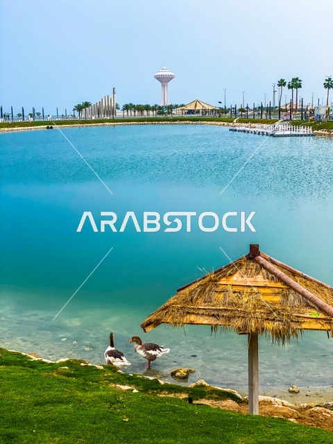 استقطاب وجذب السائحين من جميع أنحاء العالم، اطلالة على كورنيش الخبر في مدينة الدمام، الأماكن السياحية الساحلية المشهورة في المملكة العربية السعودية, مناطق الرحلات والجولات البحرية الترفيهية