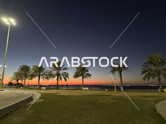 اشجار النخيل الخضراء، الواجهة البحرية في مدينة الدمام في وقت الغروب، منطقة حيوية ومتنفس رئيسي لسكان وزوار المنطقة الشرقية، كورنيش مطل على الخليج العربي في المملكة العربية السعودية