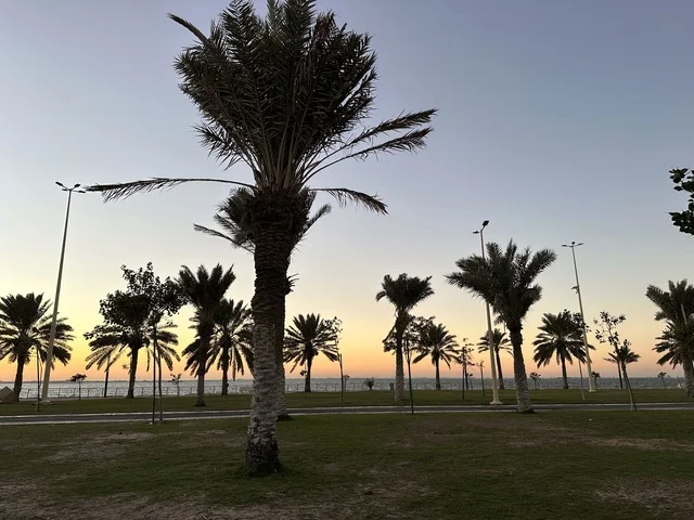 اشجار النخيل الخضراء، الواجهة البحرية في مدينة الدمام في وقت الغروب، منطقة حيوية ومتنفس رئيسي لسكان وزوار المنطقة الشرقية، كورنيش مطل على الخليج العربي في المملكة العربية السعودية
