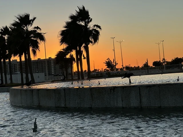 Green palm trees, the waterfront in the city of Dammam at sunset, a vibrant area and a main outlet for the residents and visitors of the Eastern Province, a corniche overlooking the Arabian Gulf in the Kingdom of Saudi Arabia.