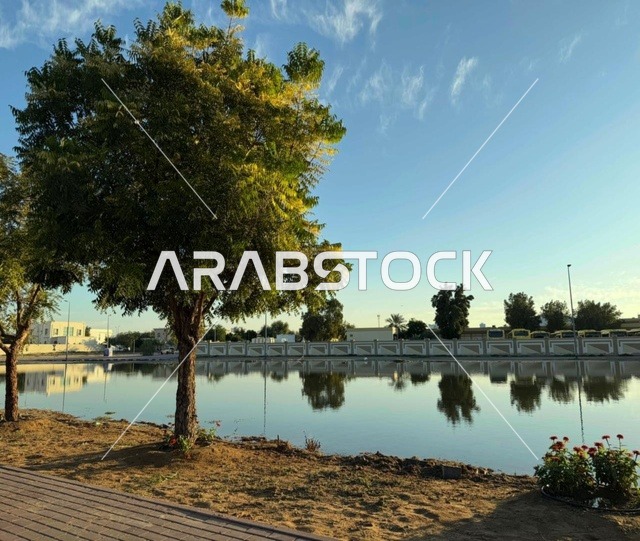المناظر الطبيعية  في المملكة العربية السعودية ,بحيرة هادئة  محاطة بالنخيل والأشجار ، أماكن سياحية ، معالم حضرية متطورة