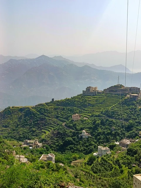 النباتات الخضراء والأشجار على القمم والمرتفعات الجبلية في منطقة جازان،الطبيعة الساحرة في محافظة فيفاء بمنطقة جازان جنوب المملكة العربية السعودية ، الاماكن السياحية المشهورة،  المناظر الطبيعية المتميزة