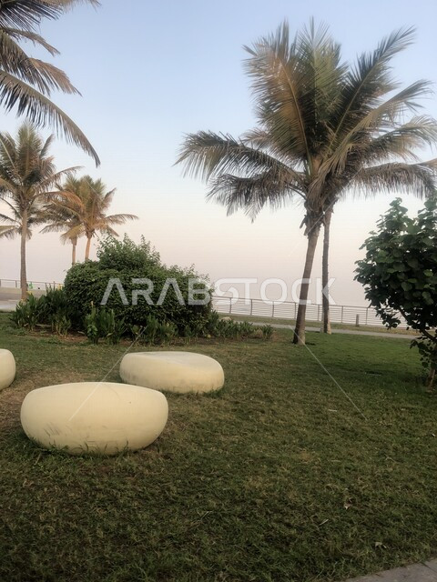 An aesthetic image of green nature on the Jeddah Corniche Tourism in Saudi Arabia, recreational attractions in Saudi Arabia, beautiful parks and gardens in Saudi Arabia, Jeddah Corniche