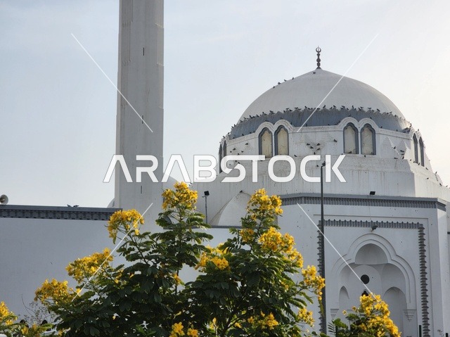 المدينة المنورة، المملكة العربية السعودية، مسجد الجمعة،أبرز المعالم التاريخية المرتبطة بالسيرة النبوية، أول جمعة تقام بعد الهجرة،  أُعيد بناؤه وتوسعته بشكل كامل في عهد الملك فهد