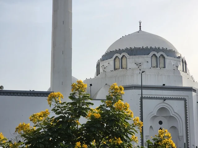 المدينة المنورة، المملكة العربية السعودية، مسجد الجمعة،أبرز المعالم التاريخية المرتبطة بالسيرة النبوية، أول جمعة تقام بعد الهجرة،  أُعيد بناؤه وتوسعته بشكل كامل في عهد الملك فهد